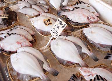 �V�N�ȋ���ނ��������i�ŁI