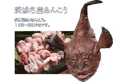 ��閼�Y���񂱂��B��ɍœK�ł��B